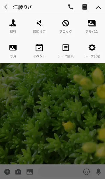 [LINE着せ替え] 美しい植物の画像4