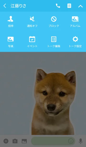 [LINE着せ替え] しばいぬハナコ【柴犬写真*a14】の画像4