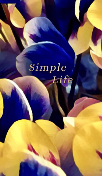 [LINE着せ替え] Simple Life 21(j)の画像1