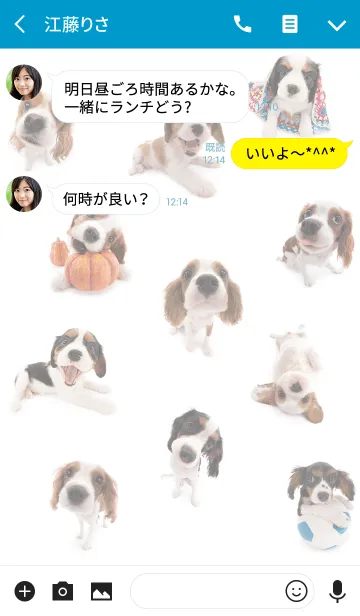 [LINE着せ替え] THE DOG キャバリア 2の画像3