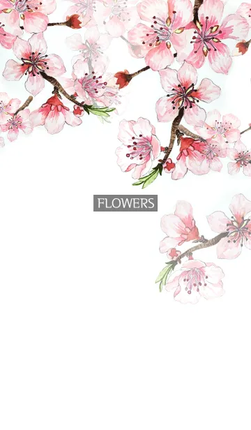 [LINE着せ替え] water color flowers_590の画像1