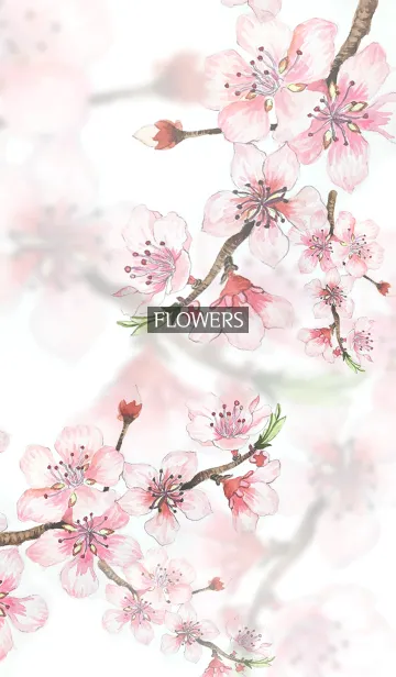 [LINE着せ替え] water color flowers_597の画像1