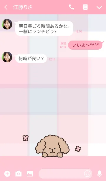 [LINE着せ替え] ゆるトイプードル着せかえの画像3