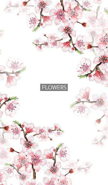 [LINE着せ替え] water color flowers_594の画像1