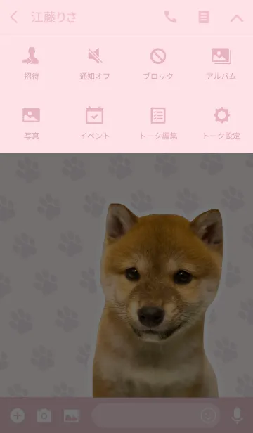 [LINE着せ替え] しばいぬハナコ【柴犬写真*a35】の画像4