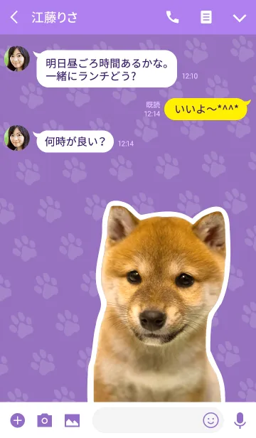 [LINE着せ替え] しばいぬハナコ【柴犬写真*a36】の画像3