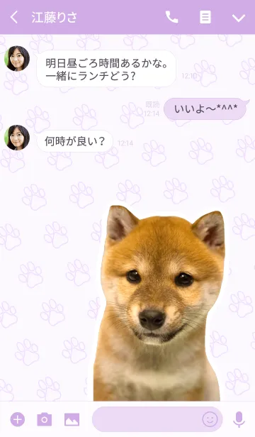 [LINE着せ替え] しばいぬハナコ【柴犬写真*a37】の画像3