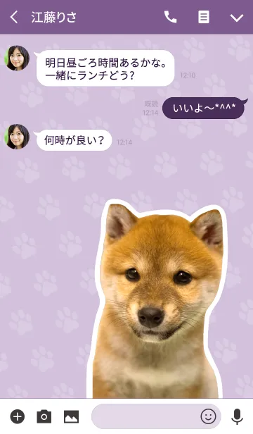 [LINE着せ替え] しばいぬハナコ【柴犬写真*a40】の画像3