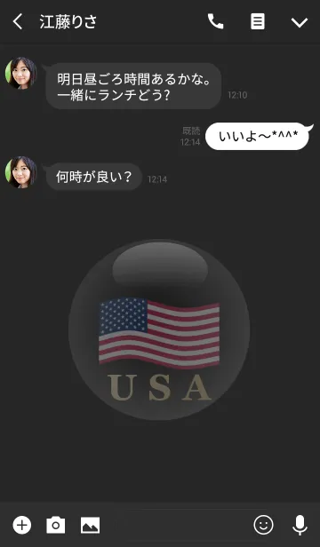 [LINE着せ替え] USA 3(j)の画像3