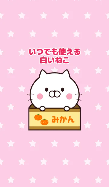 [LINE着せ替え] いつでも使える白いねこ☆の画像1