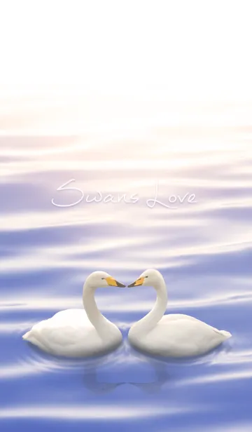 [LINE着せ替え] Swans Loveの画像1