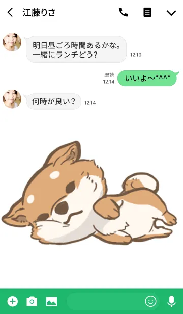 [LINE着せ替え] SHIBADOGの画像3