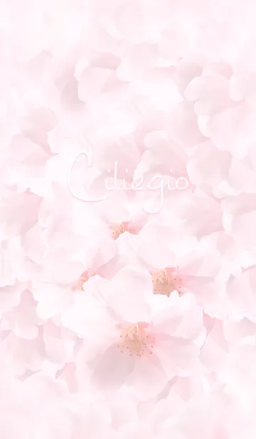 [LINE着せ替え] Ciliegioの画像1