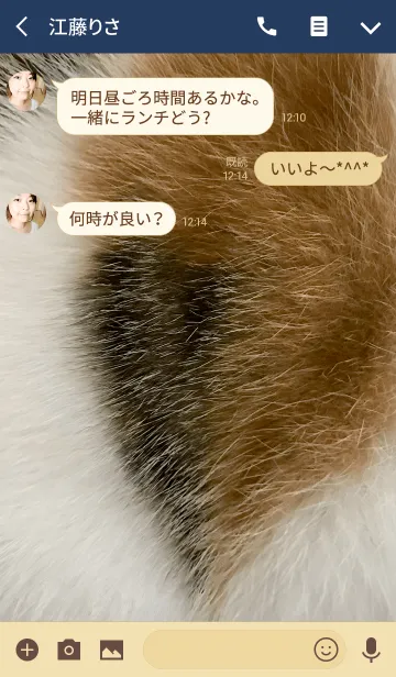 [LINE着せ替え] 猫柄 『ミケ』の画像3