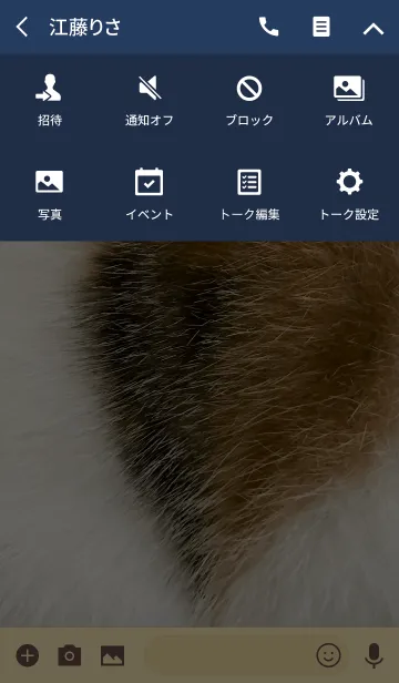 [LINE着せ替え] 猫柄 『ミケ』の画像4