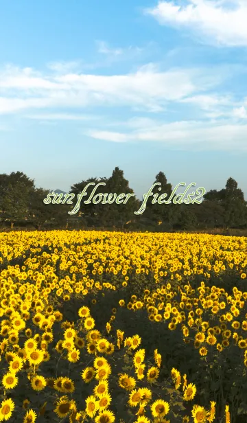 [LINE着せ替え] sunflower fields2 ver.2の画像1