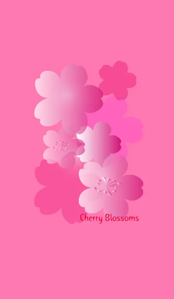 [LINE着せ替え] Cherry Blossoms full bloomの画像1