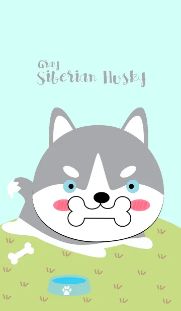 [LINE着せ替え] Cute Siberian Husky Dog (Gray)Theme(jp)の画像1