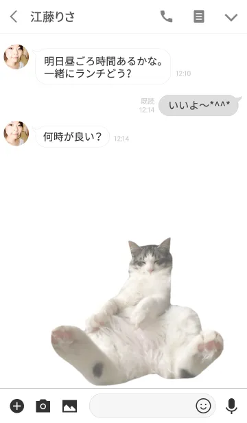 [LINE着せ替え] おしゃれ癒し猫（BlackVar）の画像3