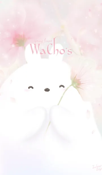 [LINE着せ替え] WaCho's 春、桜、 さくらの画像1