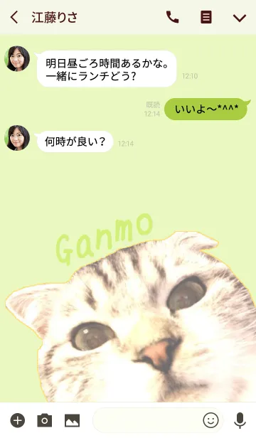 [LINE着せ替え] がんもさんの「じー」の着せ替えの画像3