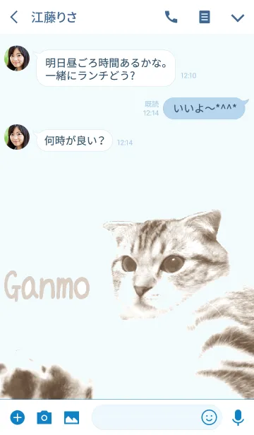 [LINE着せ替え] がんもの「うん」のうなずきの着せ替えの画像3